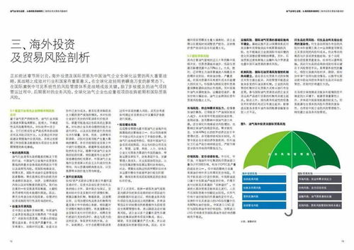 德勤视角 油气行业在“十四五”期间海外投资与国际贸易的风险把控策略