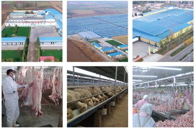 县委书记李剑青深入康远公司调研调度重点项目建设工作